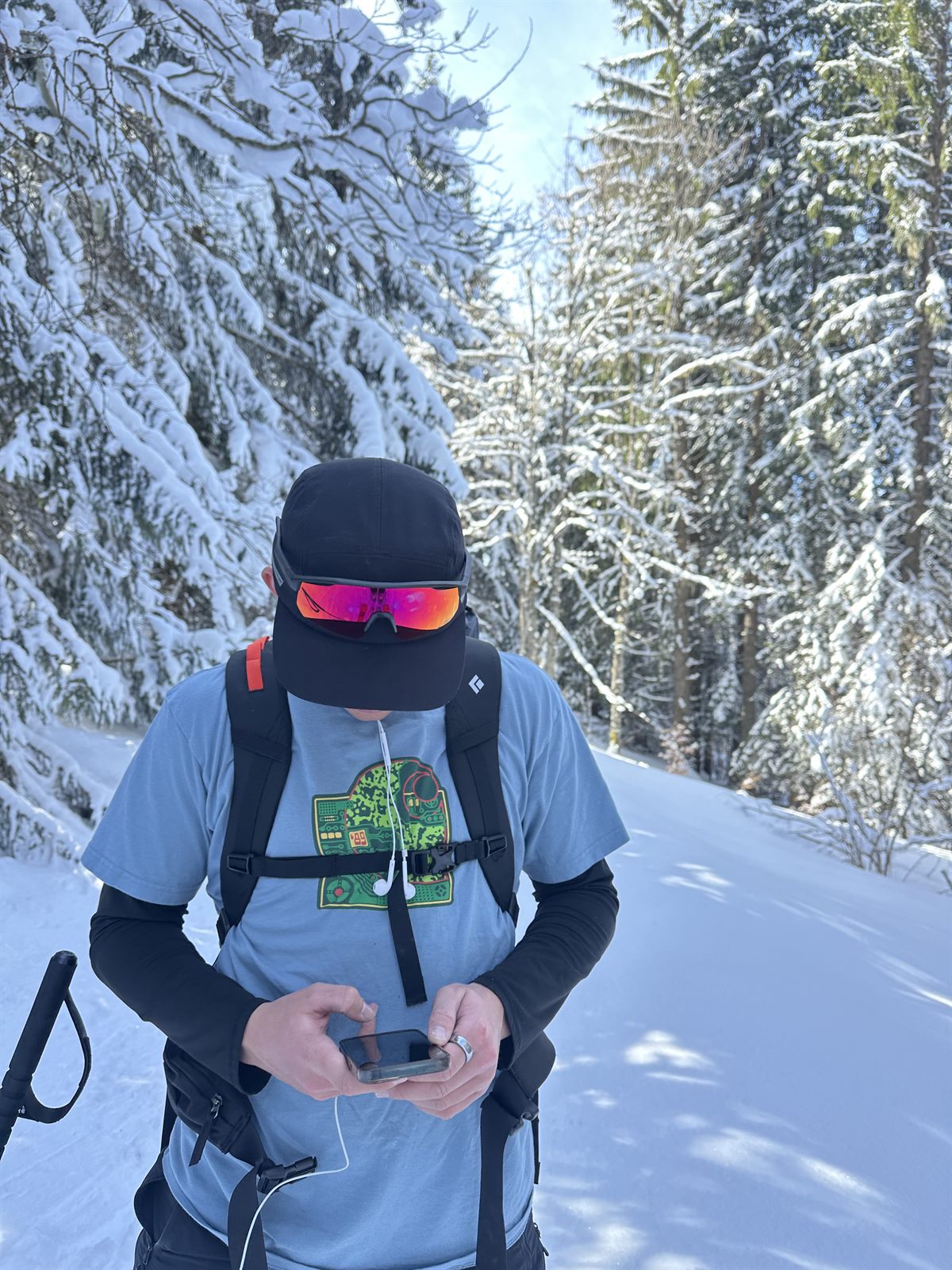Will snowshoeing through a snowy forest